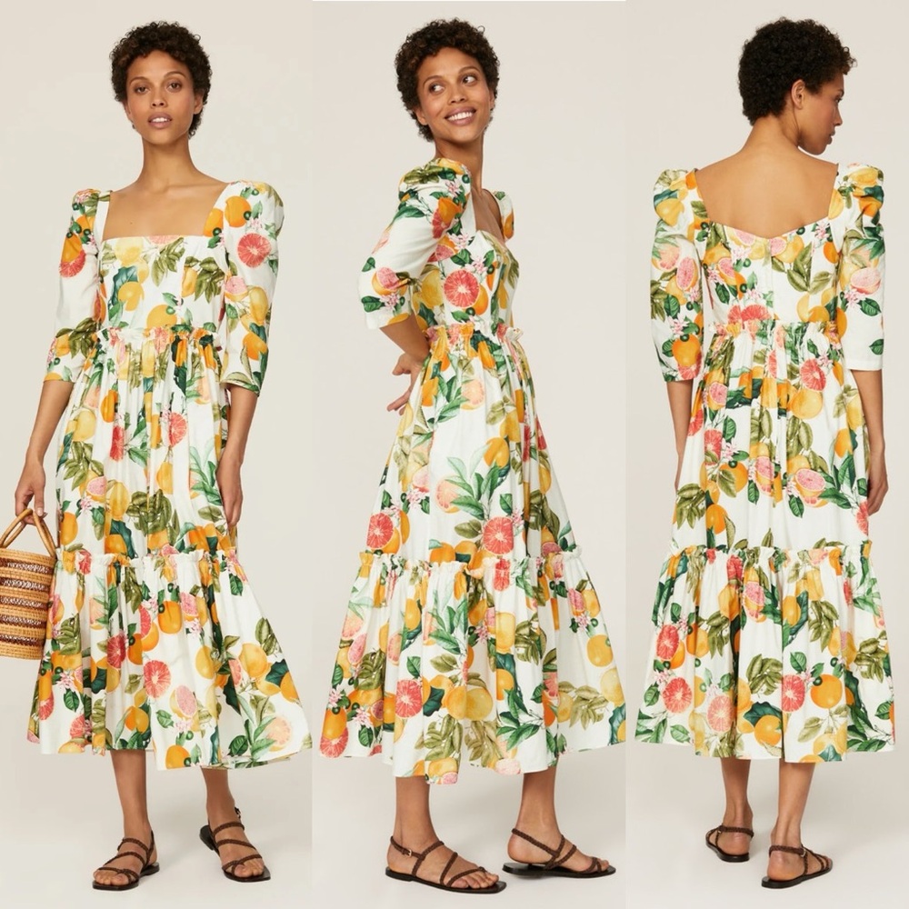 CARA CARA Blue Hill Printed Cotton-Poplin Midi Dress Size 0 - Picture 14 of 16